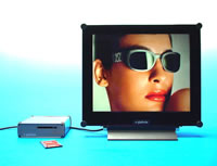 e-Galeria, Pr&auml;sentationssystem