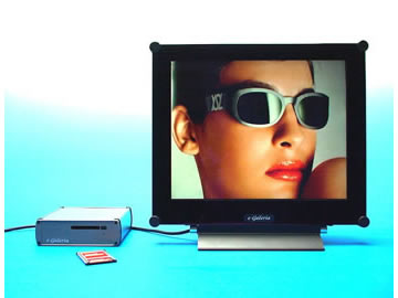 e-Galeria, Pr&auml;sentationssystem